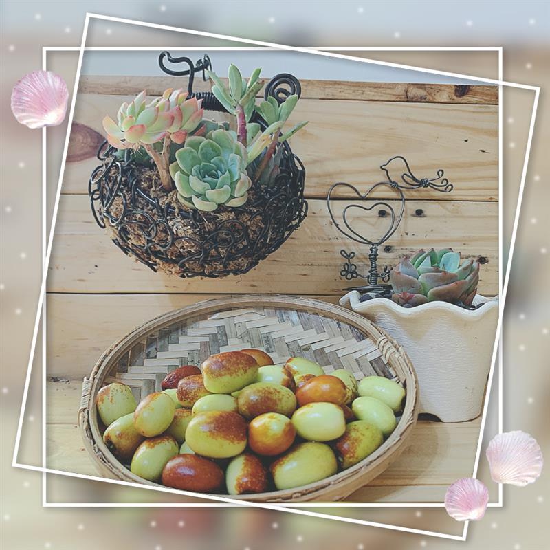 (預購) 有機鮮紅棗   (客戶預約制),藏山椿工坊