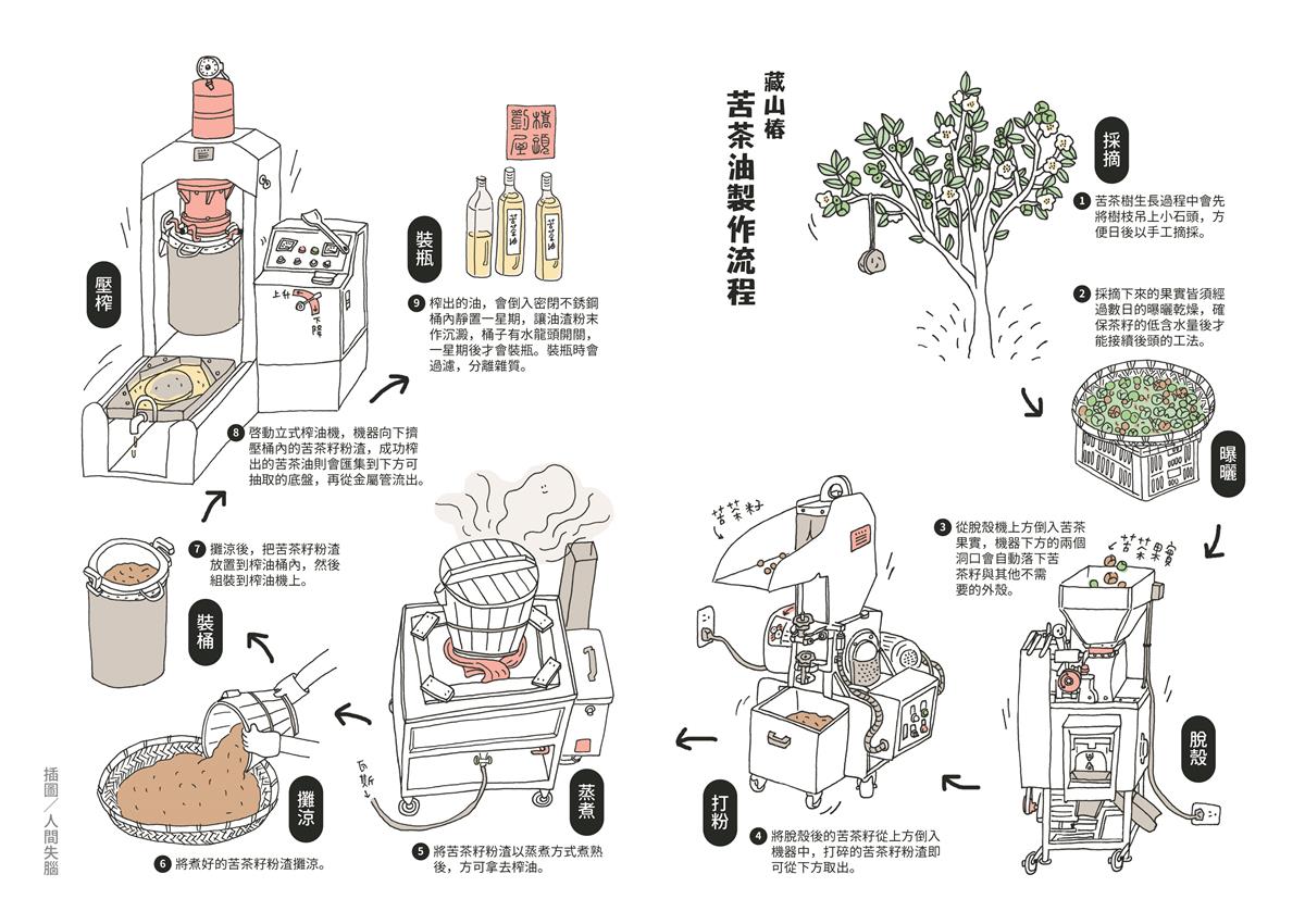 藏山椿工坊 苦茶油生產流程